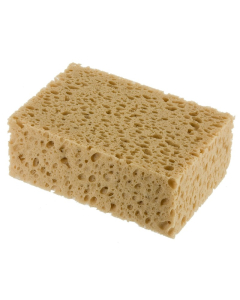 Spons